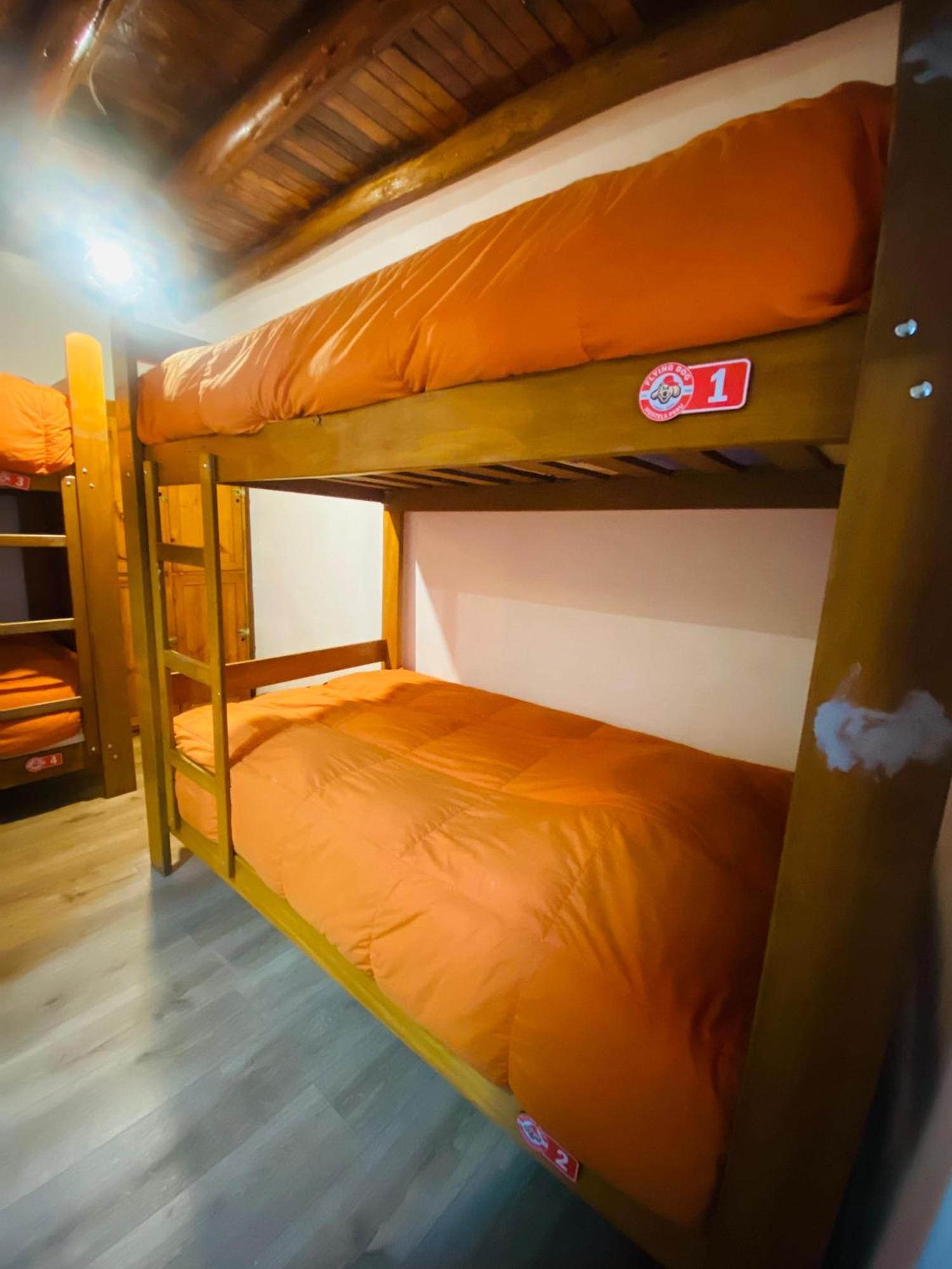 Flying Dog Hostel Cusco Exterior foto
